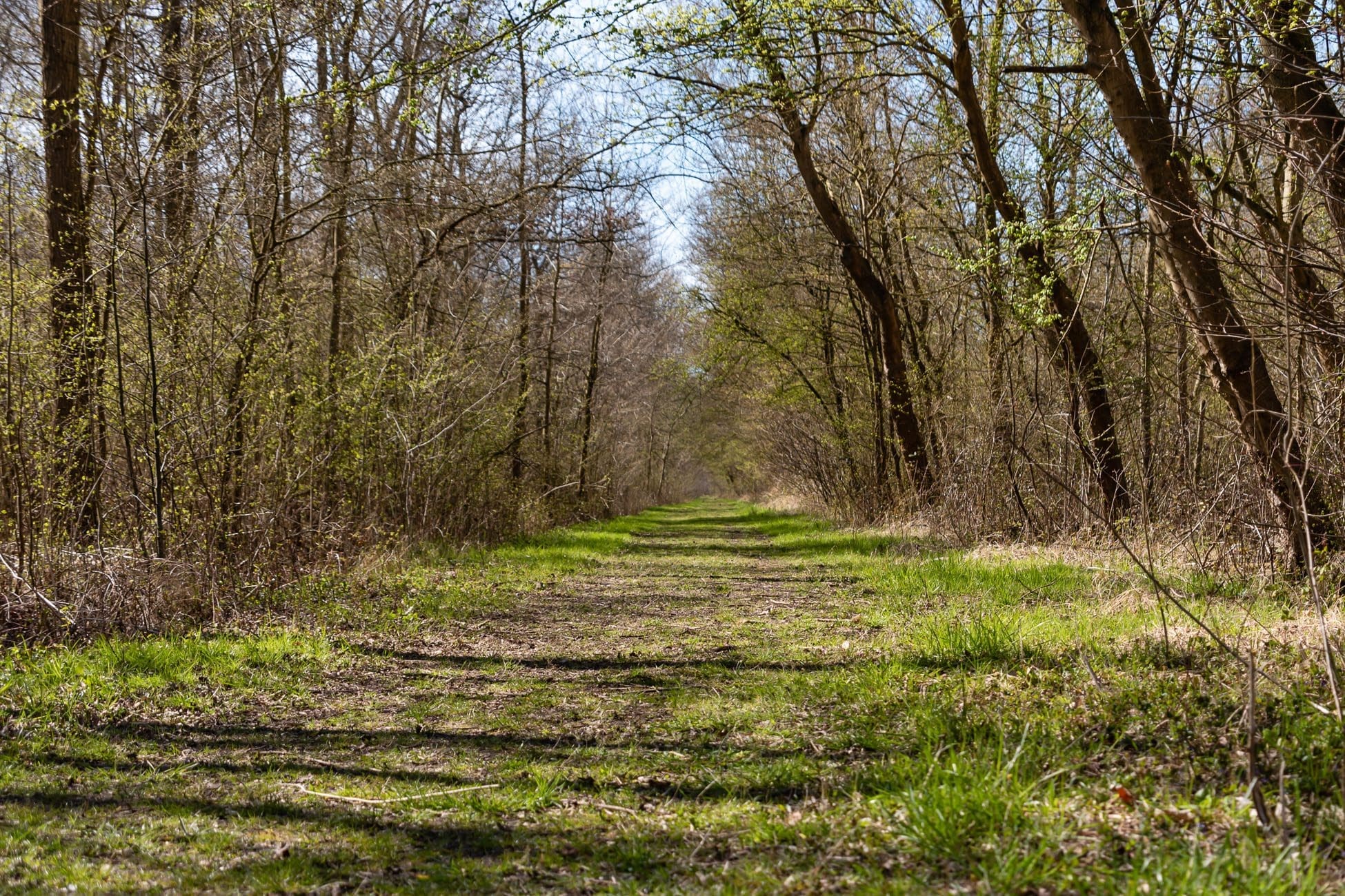 Wandelen in natuurgebied de Schotsman Zeeland | Zilt Vakanties