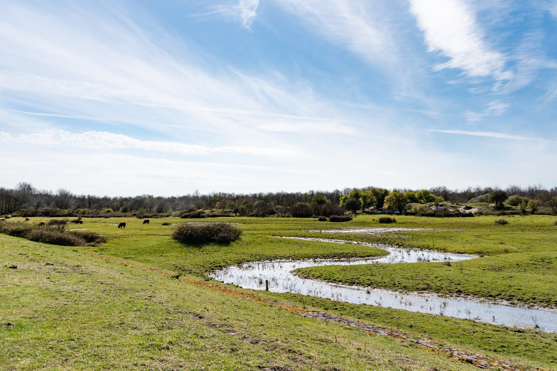 Natuurgebied de Schotsman | Luxe vakantievilla huren in Zeeland | Zilt Vakanties